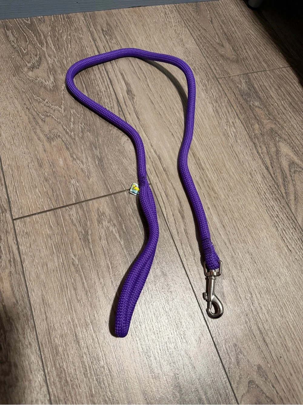 Lot of dog leashes